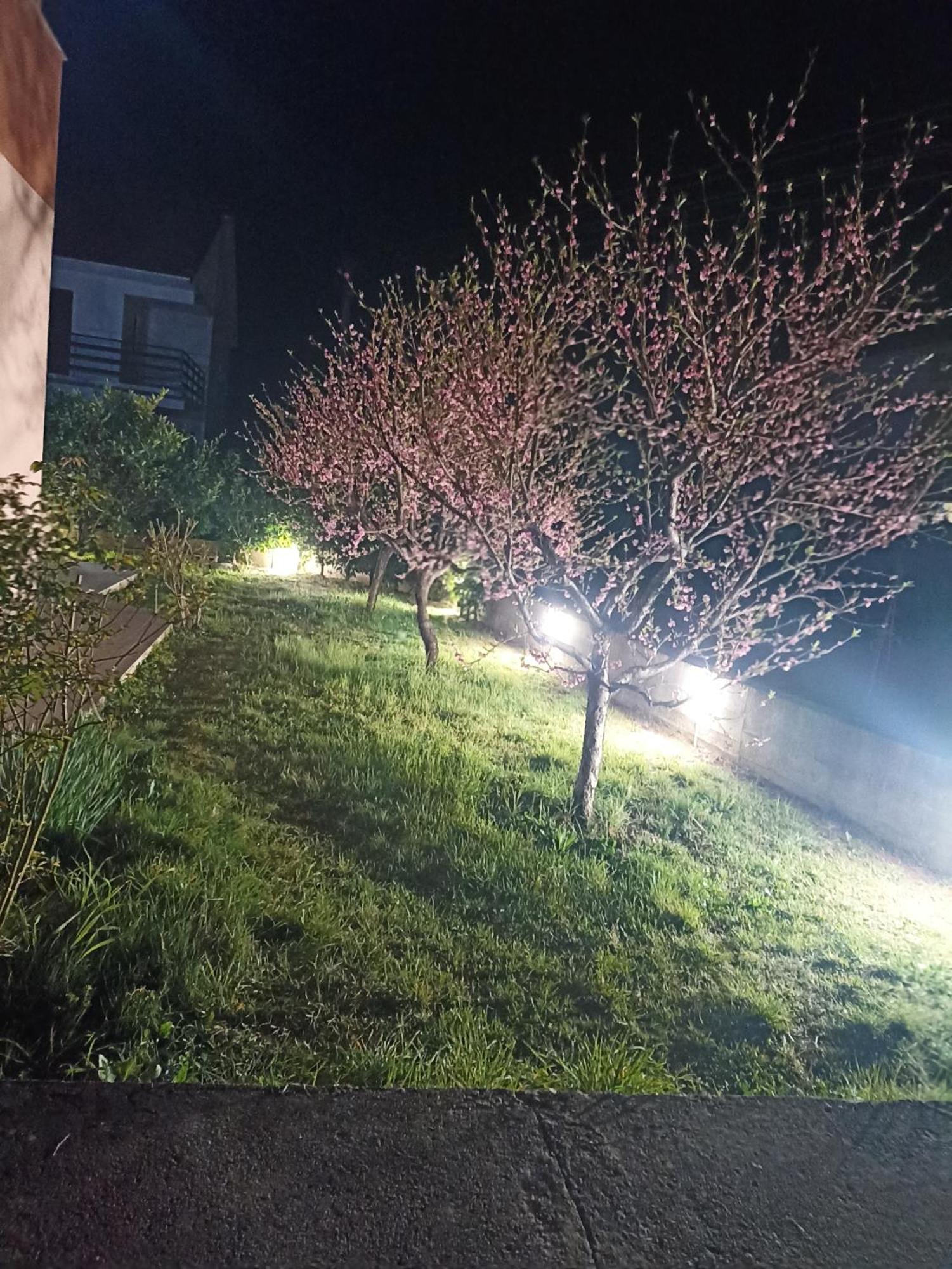 Apartmani Slado Trebinje Exterior foto